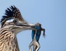 These images show birds at their very best!