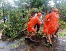 Restoration work begins post Cyclone Nisarga