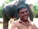 Bihar man wills half of his property to 2 elephants