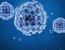 Sunlight, heat and humidity weakens coronavirus: US