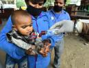 649 coronavirus cases in India, 13 deaths