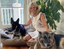 'Paw-licy' advisers: US first dogs -- Champ & Major