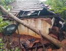 3 killed, over 1,000 trees uprooted as Nivar hits TN