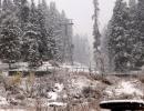 Postcards from a snow-capped Kashmir