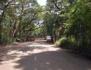 Aarey metro car shed scrapped, to be shifted: Uddhav