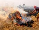 18% of Delhi's air pollution due to stubble burning