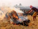 SC constitutes committee to monitor stubble burning