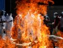 Woman jumps on father's pyre during Covid cremation