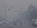 Delhi gasps for breath as AQI turns 'severe' again