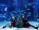 What is Santa Doing Under Water?