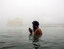 Golden Temple Wrapped In Fog