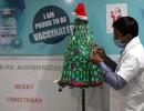 An Xmas Tree Of Covid Vaccines