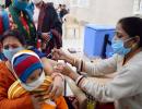 Covovax nod to boost vax drive in India: SII