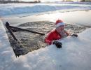 Why Are They Swimming In Icy Cold Waters?