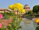 PIX: Buds are blooming at Rashtrapati Bhavan