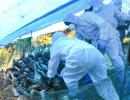 Bird flu outbreak: Centre issues advisory to 4 states