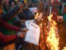 On Lohri, farmers in Delhi to burn copies of agri laws