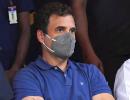 Govt conspiring to destroy farmers: Rahul on farm laws