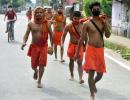 'Why Kanwar Yatra during Covid': SC to UP govt