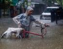 Heavy rains drench Mumbai; local train services hit