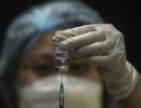 India could get 4th vaccine, courtesy Zydus Cadila