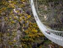 Longest pedestrian bridge is open and it's frightening