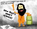 Dom's Take: Smart Science?