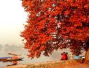 Nature Paints Kashmir In Vermilion