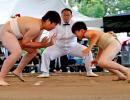 Seen Young Sumo Wrestlers Wrestle?