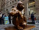 What's A Gorilla Doing On Wall Street?