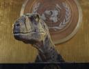 SEE: When dinosaur warns UN about human extinction