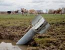 Ukraine: Cows and Rockets!