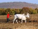 'Farmers are not enjoying any freedom'