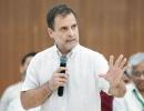 If Rahul Gandhi doesn't become Cong chief...: Gehlot