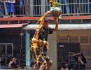 Should Dahi Handi Be An Adventure Sport?