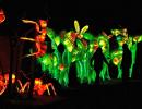 Giant Bugs Light Up Belgium Zoo