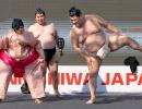 Japan's Sumo Wrestlers In India!