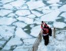 3 Indian-Americans die after falling in frozen US lake