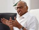 Pawar defends Adani over Hindenburg row; Cong says...