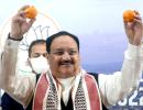 What's J P Nadda doing with oranges?