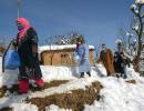 Covid Vaccination In The Snow