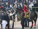 President's bodyguard horse, Virat retires on R-Day