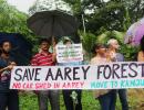 PIX: Meet the Aarey Warriors