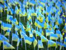 Flags Flutter For Ukraine's Fallen