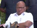 Sena's 'internal matter': Sharad Pawar on MVA crisis