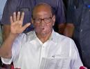 Thackeray govt will win trust vote: Sharad Pawar