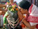 SEE: Mahashivratri Celebrations In India