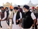 In search for revival Akalis go back to Sikh roots