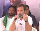 Kharge will, no, new prez will decide my role: Rahul