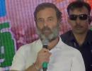 Don't want to politicise Morbi bridge collapse: Rahul